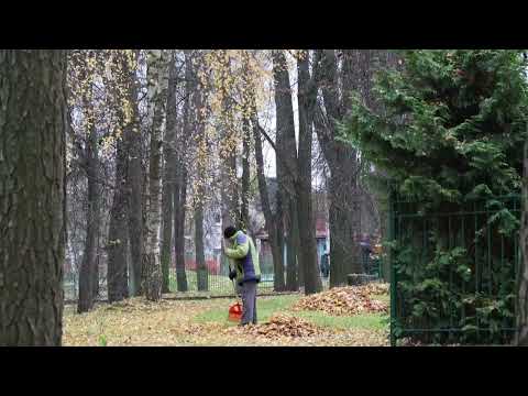 Барановичи день за днем. 05.11.25.