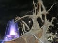 Ghost Forest