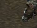 Pat Butler-Red Steagall Cowboy Gathering 2008 Saddle Bronc