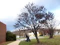 retards 015.MOV