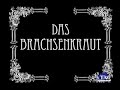 Der Hosentaschen-Ranger