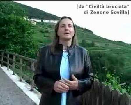 Immagine anteprima YouTube