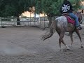 Cherokee2 Cherokee2