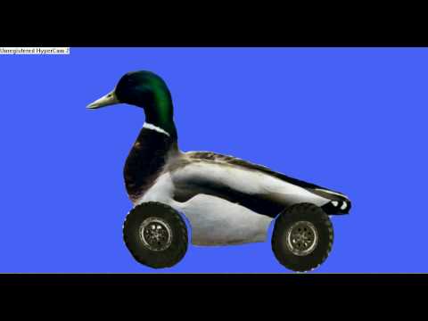 Duckrolled