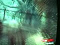 Call of Duty 5: World at War- Shi no Numa strategy lvl 18+ No glitches