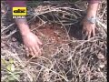 DEAG debe llegar a más productores DEAG debe llegar a más productores
