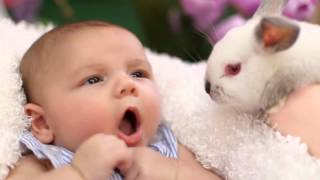 MY EASTER BUNNY SESSIONS