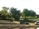 wholecrop
