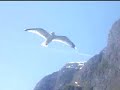 Sognefjord