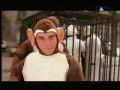 Bloodhound gang - The bad touch Bloodhound gang - The bad touch