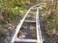 roller coaster accident