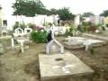 videos de Lpdc los piratas del caribe
