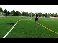 Doubleback *on Grass* attempt 1