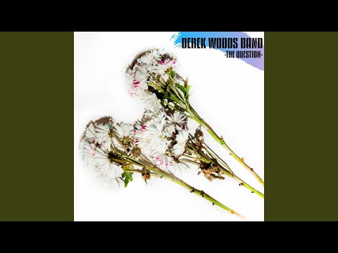 Derek Woods Band - The Question