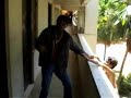 Surya sucks.. Venkatesh sucks... our RAVI TEJA ROCKS...