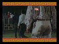 Jaripeo 1998 (Destructores de Memo Ocampo) Huajuapan, Oaxaca