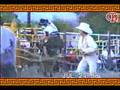 Jaripeo 1998 (Destructores de Memo Ocampo) Huajuapan, Oaxaca