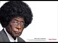 Mugabe - Should I Stay or Should I go?