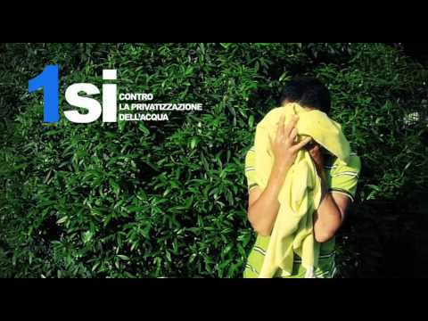 guarda il video