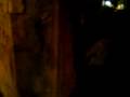 videos de MINDY