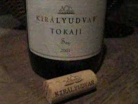 Tokaj March 2007