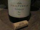 Tokaj March 2007: \"A Companion for the Bibulous Traveller\"