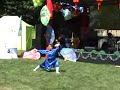 Wudang Pudao Wudang Pudao
