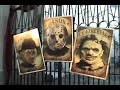 Universal-Studios-Ho