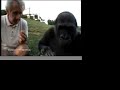 Bande annonce du documentaire 2 x 52 minutes diffusés sur France 3 les 23 et 24 février en 2ème partie de soiréeautres vidéo sur You Tube : Emotions détectées par ordinateur site : coupezleson.frPolitique et Primate site : coupezleson.fr