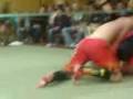 james gourley vs ryan wilkison