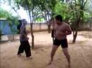 Pelea en la granja