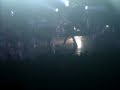 DEVASTO DI CONCERTO! IMPERDIBILE! Peccato che alcuni coglioni non abbiano avuto un minimo di buon senso con delle ragazze, prendendole per il collo e per i capelli pur di fotterle il posto in seconda fila.. siete degli uomini di merda! Ce la siamo vista brutta ma tornerei a piazzarmi lì davanti solo per poterli vedere così vicini! *__*