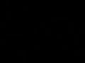 negro hocicon