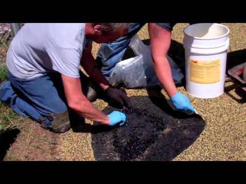 how to repair rubber