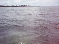 Key West Lazy Kayaks