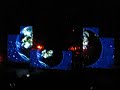 Intro Fall Out Boy: Disloyal Order of Water Buffalos Live