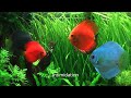 Rio 400 - 18.07.2011 - Full HD 1080p 1ere Partie.wmv