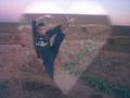 videos de nabil wushu
