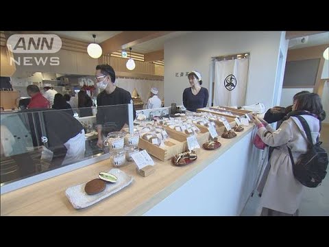 動画