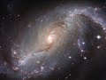 Bach Under The Stars: Air on a G String