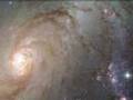 Bach Under The Stars: Air on a G String