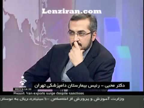 Funny debate about the death of tiger from Russia to the zoo Tehran