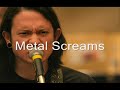 Best of metal screams