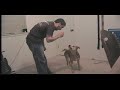 Tini - Play Dead + misc tricks