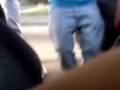 oveja rompe calzones