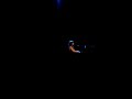 Day one - sarah slean live