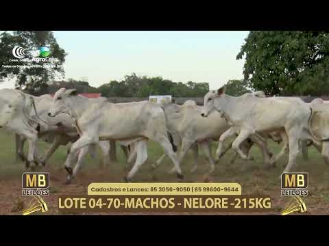 555� LEIL�O VIRTUAL MB LEIL�ES