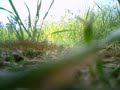 Mini Titan Onboard Camera