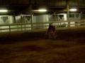 151st Crapaud Tournament Round 2 Fight 1 151st Crapaud Tournament Round 2 Fight 1