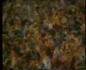 Millwall V Brighton Millwall V Brighton